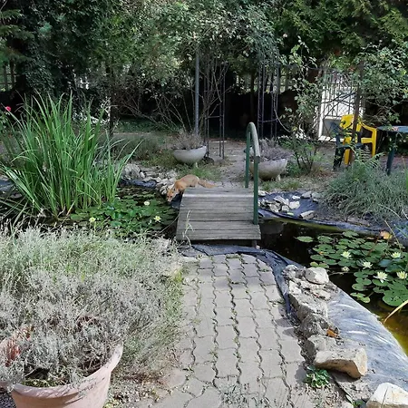 Matula Vendeghaz 게스트하우스